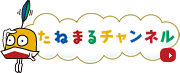 たねまるチャンネル