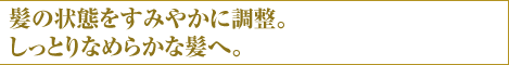 髪の状態をすみやかに調整。しっとりなめらかな髪へ。