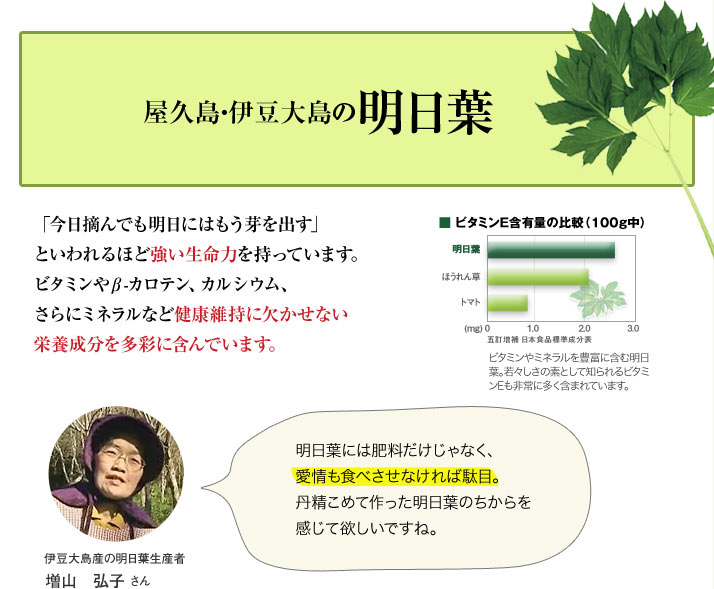 屋久島・伊豆大島の明日葉　「今日摘んでも明日にはもう芽を出す」といわれるほど強い生命力を持っています。ビタミンや&beta;-カロテン、カルシウム、さらにミネラルなど健康維持に欠かせない栄養成分を多彩に含んでいます。■ビタミンＥ含有量の比較（100g中）ビタミンやミネラルを豊富に含む明日葉。若々しさの素として知られるビタミンEも非常に多く含まれています。明日葉には肥料だけじゃなく、愛情も食べさせなければ駄目。丹精こめて作った明日葉のちからを感じて欲しいですね。伊豆大島産の明日葉生産者　増山　弘子 さん