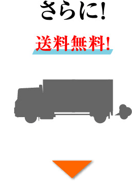さらに送料無料！