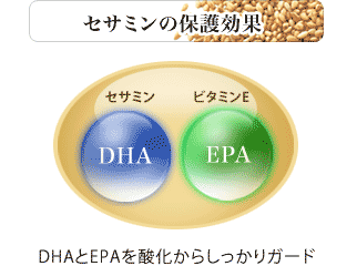 セサミンの保護効果、DHAとEPAを酸化からしっかりガード