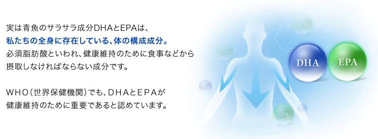 実は青魚のサラサラ成分DHAとEPAは、私たちの全身に存在している、体の構成成分。必須脂肪酸といわれ、健康維持のために食事などから摂取しなければならない成分です。ＷＨＯ（世界保健機関）でも、ＤＨＡとＥＰＡが健康維持のために重要であると認めています。