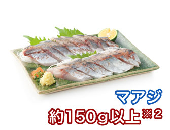 マアジ 約１５０ｇ以上 ※２