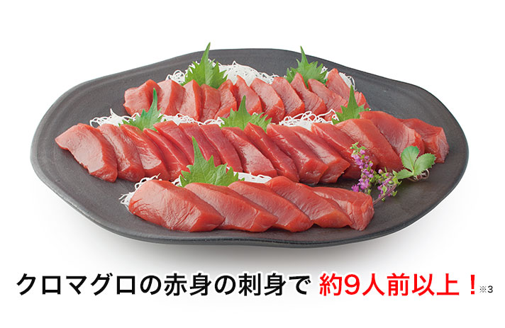 クロマグロの赤身で約９人前以上！※３