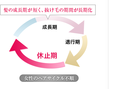 女性のヘアサイクル不順　髪の成長期が短く、抜け毛の期間が長期化