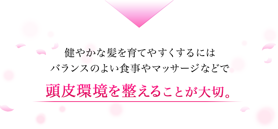 健やかな髪を育てやすくするにはバランスのよい食事やマッサージなどで頭皮環境を整えることが大切。