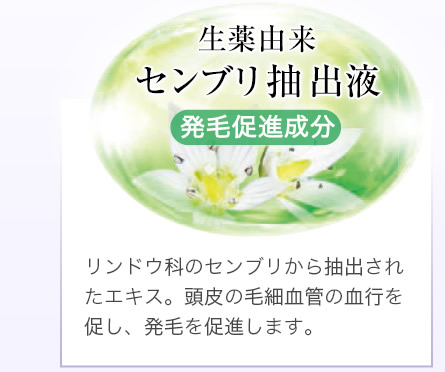 生薬由来 センブリ抽出液 発毛促進成分 リンドウ科のセンブリから抽出されたエキス。頭皮の毛細血管の血行を促し、発毛を促進します。