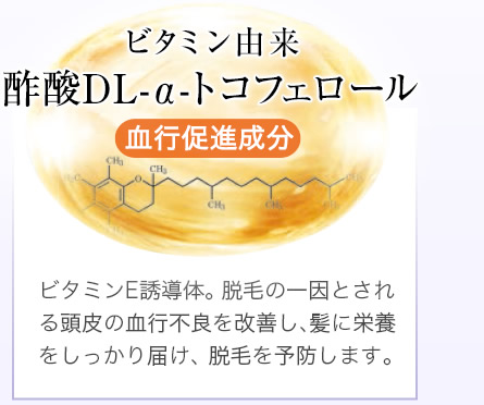 ビタミン由来 酢酸DL-α-トコフェロール 血行促進成分 ビタミンE誘導体。脱毛の一因とされる頭皮の血行不良を改善し、髪に栄養をしっかり届け、脱毛を予防します。