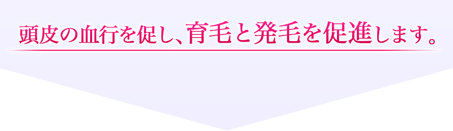 頭皮の血行を促し、育毛と発毛を促進します。