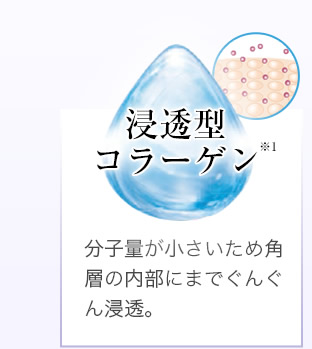 浸透型コラーゲン※1 分子量が小さいため角層の内部にまでぐんぐん浸透。