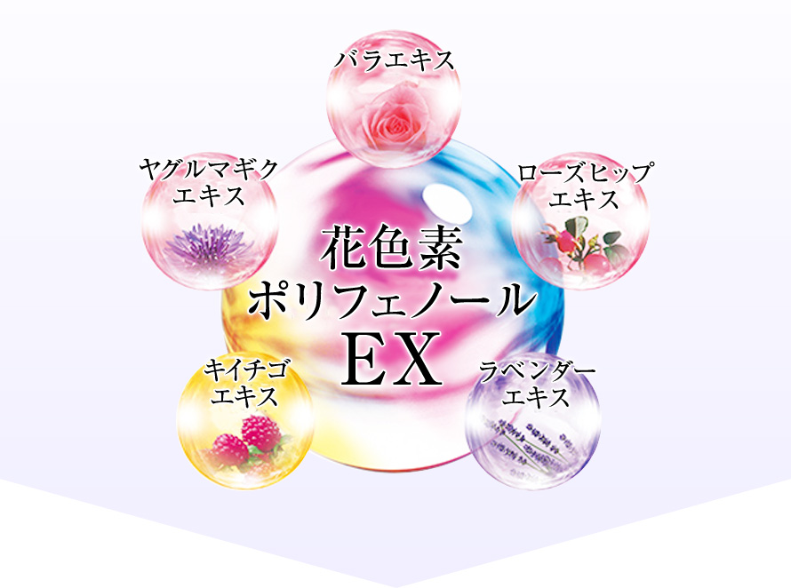 花色素ポリフェノールEX バラエキス ローズヒップエキス ラベンダーエキス キイチゴエキス ヤグルマギクエキス