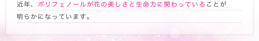 近年、ポリフェノールが花の美しさと生命力に関わっていることが明らかになっています。