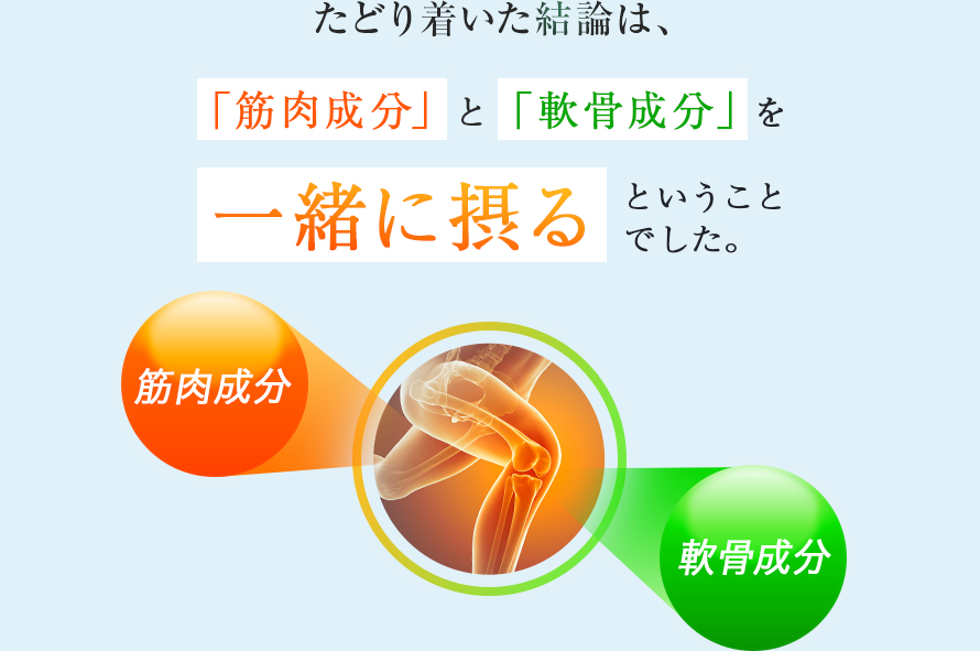 たどり着いた結論は、「筋肉成分」と 「軟骨成分」を一緒に摂るということでした。 筋肉成分 軟骨成分