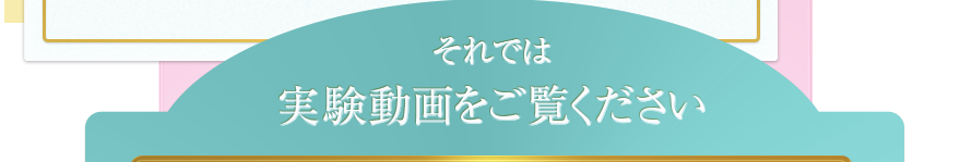 それでは実験動画をご覧ください