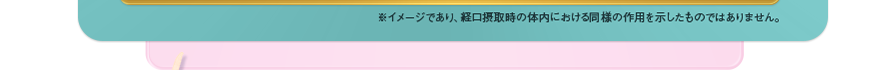 ※イメージであり、経口摂取時の体内における同様の作用を示したものではありません。