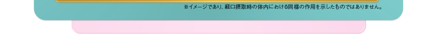 ※イメージであり、経口摂取時の体内における同様の作用を示したものではありません。