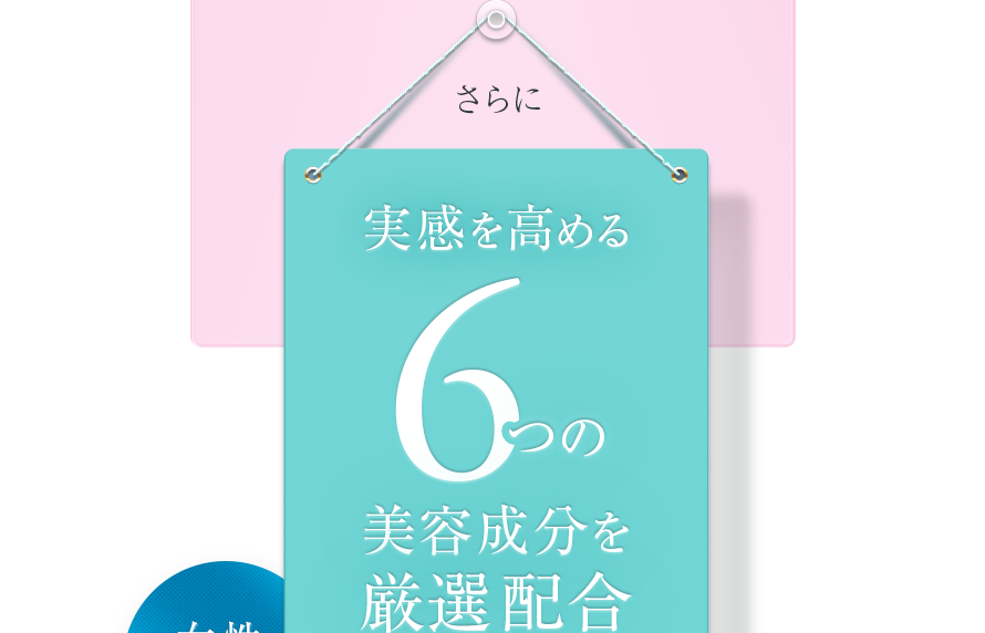 さらに　実感を高める6つの美容成分を厳選配合