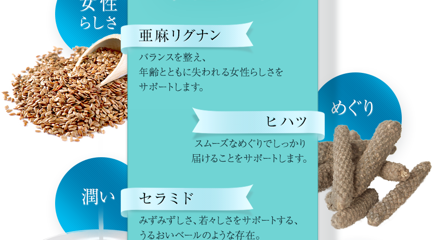 女性らしさ　亜麻リグナン　バランスを整え、年齢とともに失われる女性らしさをサポートします。　めぐり　ヒハツ　スムーズなめぐりでしっかり届けることをサポートします。　潤い　セラミド　みずみずしさ、若々しさをサポートする、うるおいベールのような存在。