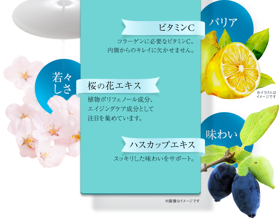 バリア　ビタミンC　コラーゲンに必要なビタミンC。内側からのキレイに欠かせません。　若々しさ　桜の花エキス　植物ポリフェノール成分、エイジングケア成分として注目を集めています。　味わい　ハスカップエキス　スッキリした味わいをサポート。※画像はイメージです