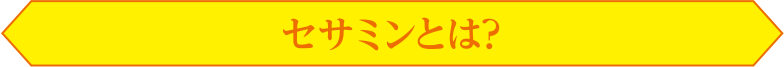セサミンとは？