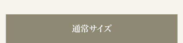 通常サイズ